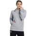 Team Hooded Sweat Panel heather-grey